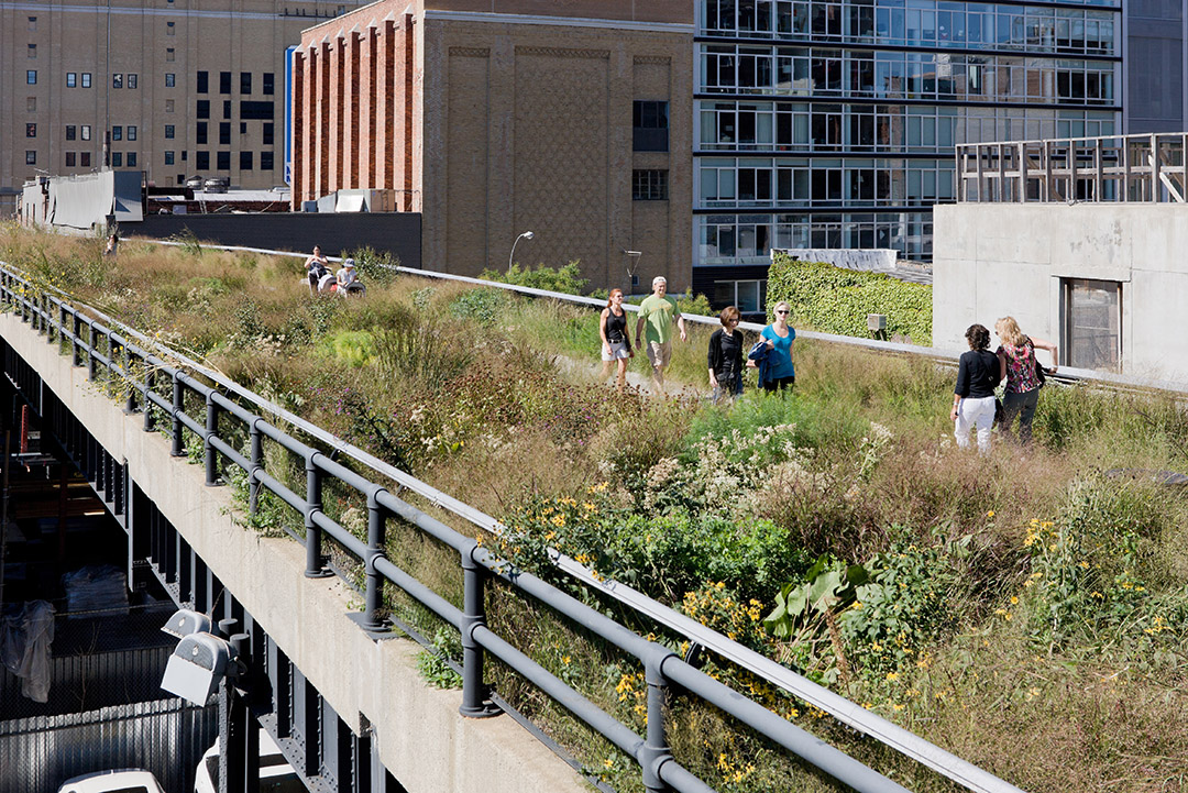 景观设计经典作品展Section 2 of the High Line高线公园_历史保护与更新 the High Line高线公园景观设规划设计