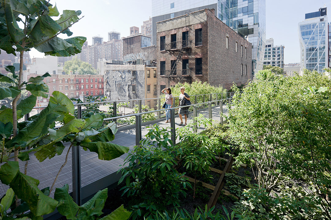 景观设计经典作品展Section 2 of the High Line高线公园_ the High Line高线公园景观设规划设计