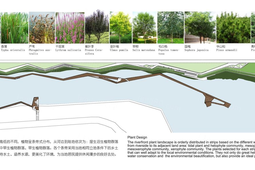 植物分析图,公园分析图，滨水滨江公园分析,景观分析图植物分析图,公园分析图，滨水滨江公园分析,景观分析图 ...