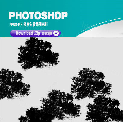 景观   植物笔刷素材 ps笔刷   下载    Photoshop  笔刷素材