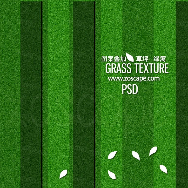 Grass Te ure.jpg