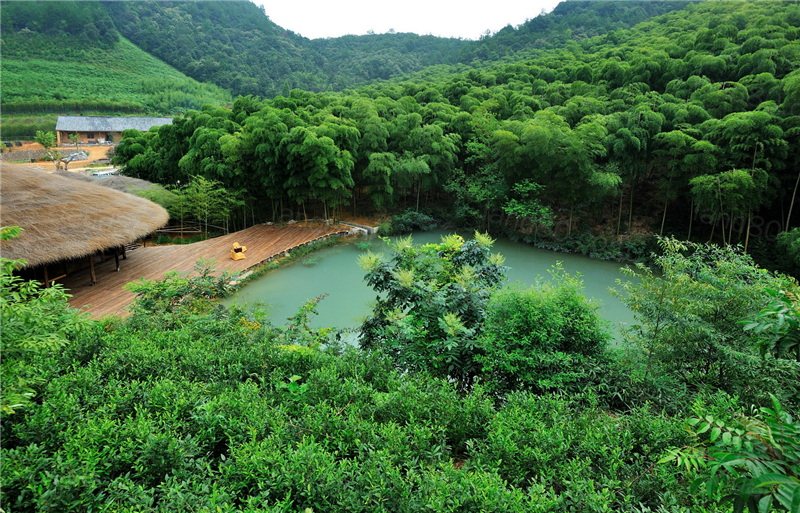 德清莫干山裸心谷生态驿站_生态度假村景观建筑方案设计