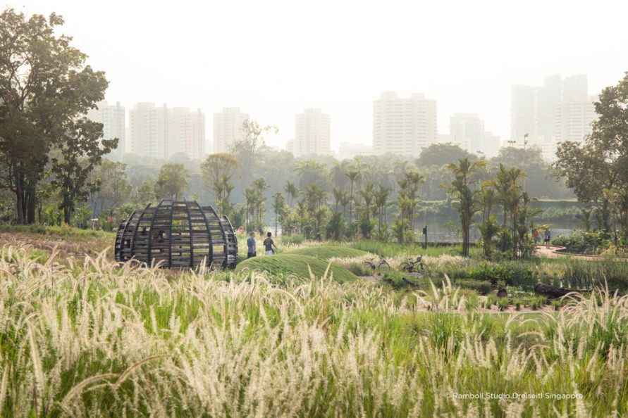 Grassland-1-c_Ramboll-Studio-Dreiseitl-Singapore.jpg