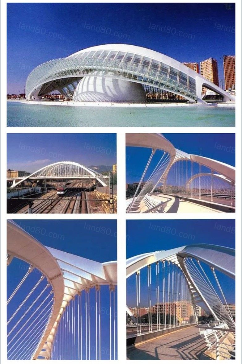 1597310446366040.jpg