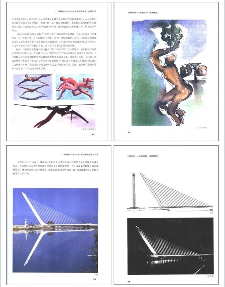 1597310446953269.jpg