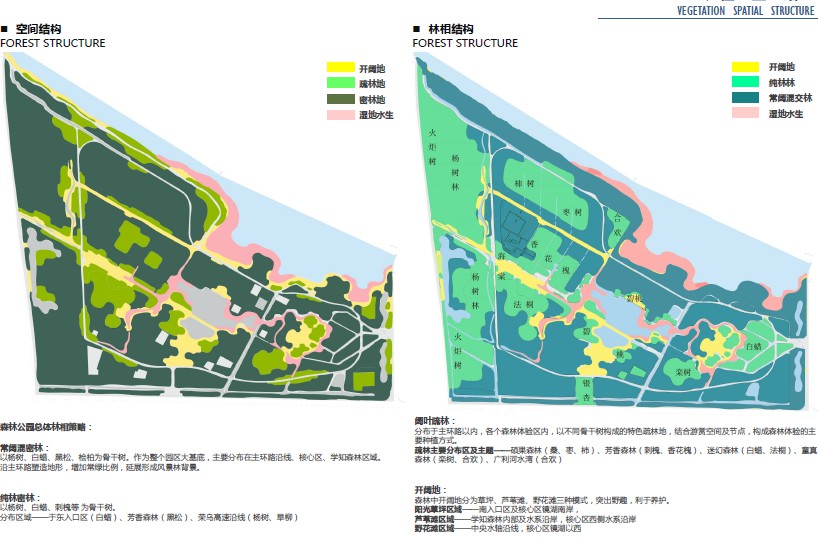 植物科普-森林体验-健康生活-国家级 四季森林公园规划设计文本_zos21-06-22_194.jpg