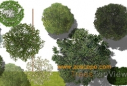 国际彩平植物贴图素材下载-境外风格彩色总平面图PSD源文件 to 景观80+