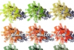 国际风2d植物贴图素材-平面图植物素材图例 to 景观80+