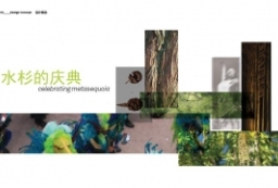 武汉利济北路商业购物中心-商业综合体屋顶花园景观设计 to 景观80+