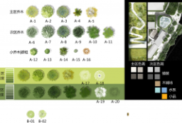 landscape architecture conceptual design plants to 景观80+