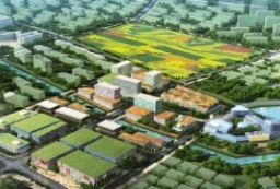 北京蒋辛屯新农村景观规划-农业旅游策划方案文本 to 景观80+