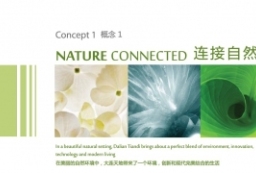 某市新区商业景观概念规划与城市设计方案文本 to 景观80+