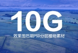 10G高清园林植物乔木灌木绿篱效果图后期PSD分层素材 to 景观80+