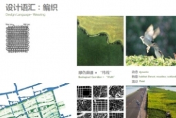 开放型国际社区-多元化邻里社区景观概念设计方案文本 to 景观80+