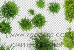 海外精品观赏草俯视图贴图素材-cutout-grass-PSD-top-view to 景观80+