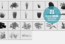 21种植物笔刷合集-园林景观效果图必备素材 to 景观80+