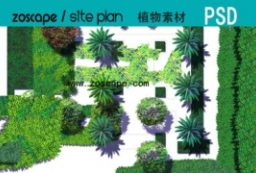 一组国外植物素材图例-灌木地被植物国外景观平面图ps素材 to 景观80+