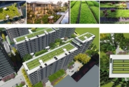 下沉式庭院-屋顶花园-滨河游园-市政绿化带园林方案景观汇报文本 to 景观80+
