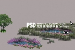 园林景观效果图-滨水地被花灌木植物分层PSD素材 to 景观80+