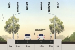 机动车道-道路绿化带路侧绿化带防护林 园林绿化立面剖面PSD to 景观80+