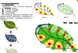 城市滨海生态景观绿道规划设计方案文本 to 景观80+